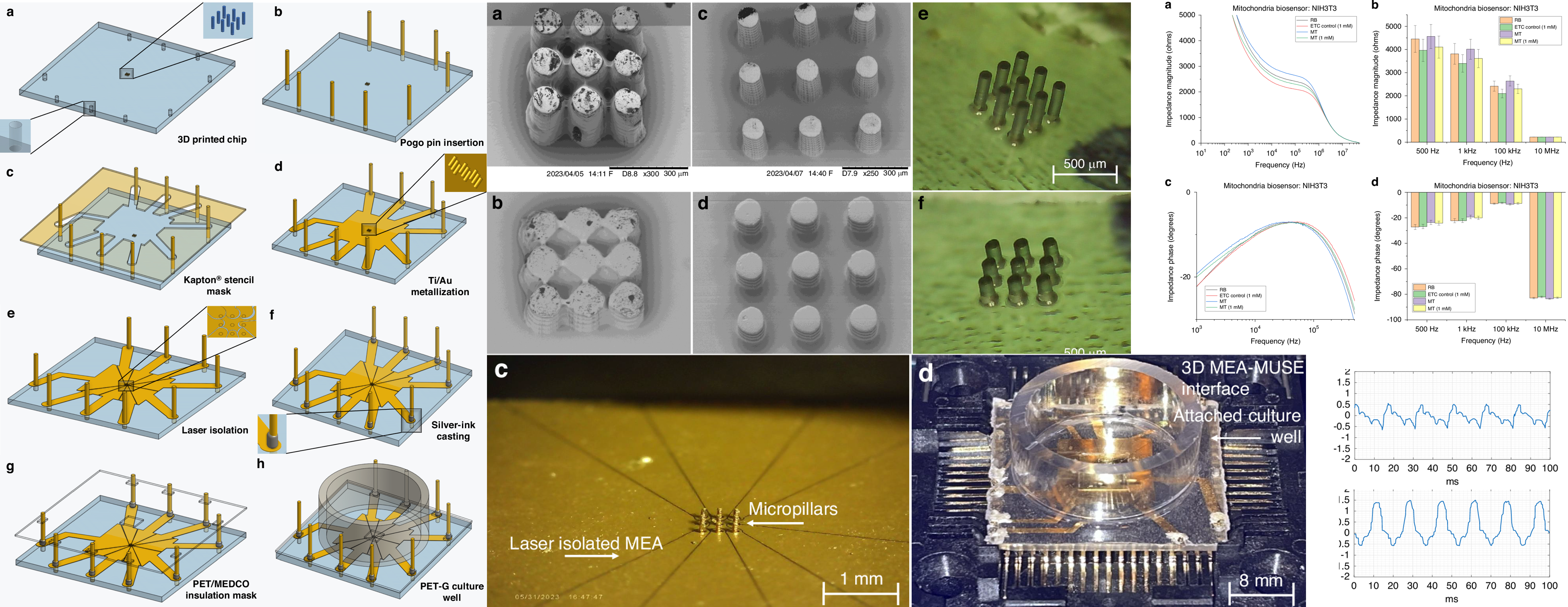 Detection of mitochondrial bioenergetics (Nature Microsystems) 